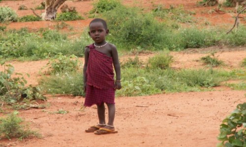 Zdjecie KENIA / Tsavo / - / Wioska Masajw