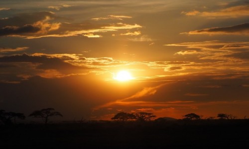 Zdjecie KENIA / poudniowa Kenia / Park Narodowy Amboseli / Zachd soca