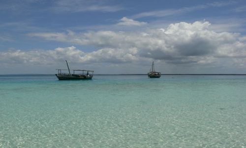 Zdjecie KENIA / Kisite Marine Park / Paradise Island / Rajska Wyspa