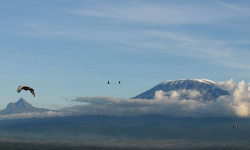 Zdjecie KENIA / poudniowa Kenia na granicy z Tanzania  / Amboseli / Kilimandaro