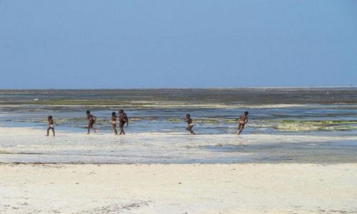 Zdjęcie KENIA / Mombasa / Kikambala / beztroska? zabawa