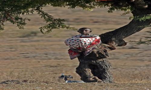 Zdjecie KENIA / Masai Mara / Wioska przy rezerwacie Masai Mara / Gdzie te lwy?