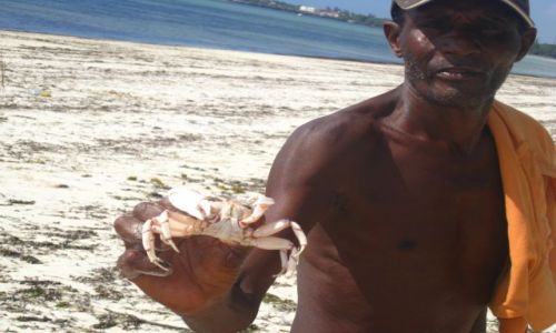 Zdjecie KENIA / wschodnia Kenia / Mombasa / fisherman