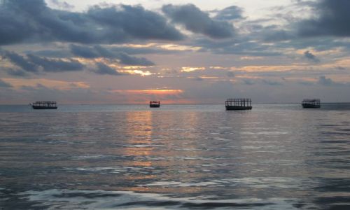 Zdjecie KENIA / wsch.cz Kenii / Ocean Ind. - Mombasa / Mombasa