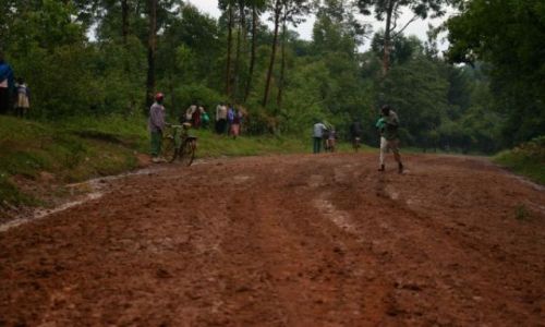 Zdjęcie KENIA / Kakamega / droga do Kakamega / Droga do lasu deszczowego