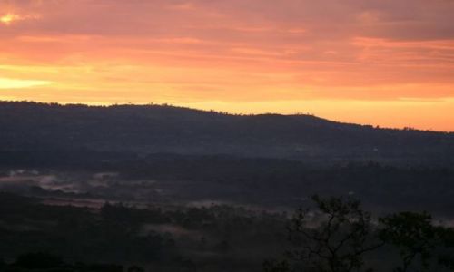 Zdjęcie KENIA / Kakamega / Kakamega - las deszczowy / Las deszczowy