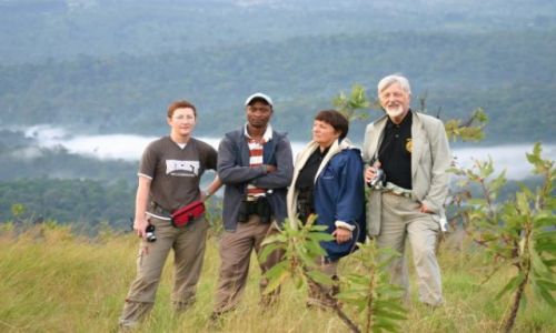 Zdjecie KENIA / Kakamega / Kakamega - las deszczowy / Las deszczowy w tle