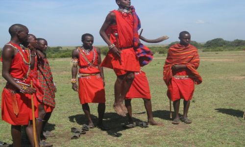 Zdjecie KENIA / masai mara / brak / jak wyhaczy czikit