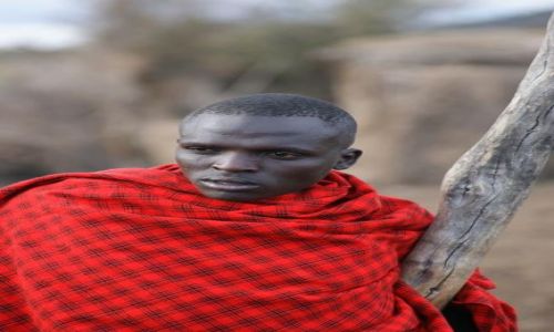 Zdjecie KENIA / brak / Masai Mara / zamylony Masaj