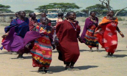 Zdjęcie KENIA / Amboseli National Park / Amboseli National Park / taniec Masajek