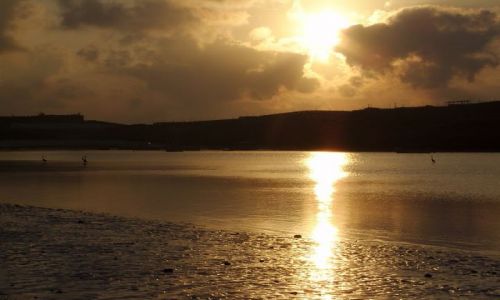 Zdjecie KENIA / Watamu / Watamu / Watamu