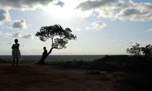 Zdjęcie KENIA / - / Maraffa /  Cień