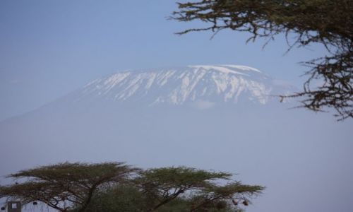 Zdjęcie KENIA /  Amboseli / niemalże u stóp Kilimandżaro / Kilimandżaro