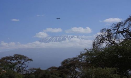 Zdjecie KENIA /  Amboseli / u podna Kilimandaro / Kilimandaro2
