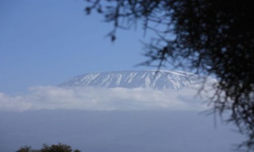 Zdjęcie KENIA /  Amboseli / u podnóża Kilimandżaro / Kilimandżaro 3