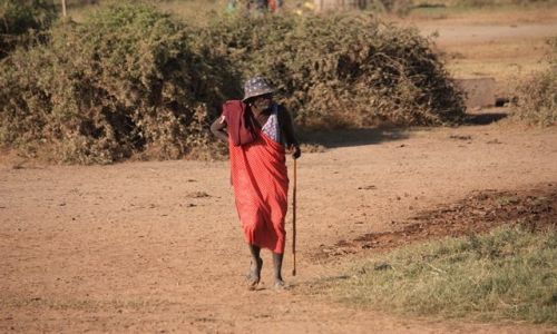 Zdjecie KENIA / Park Narodowy Amboseli / wioska masajska / masajski nestor