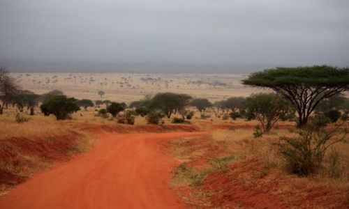 Zdjcie KENIA / Mombasa / Park Narodowy Amboseli / w drodze do Amboseli
