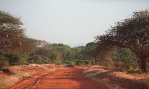 Zdjcie KENIA / Mombasa / Park Narodowy Amboseli / czerwone drogi Kenii