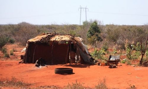 Zdjecie KENIA / przedmiecia Mombasy / Mombasa / na przedmieciach Mombasy...