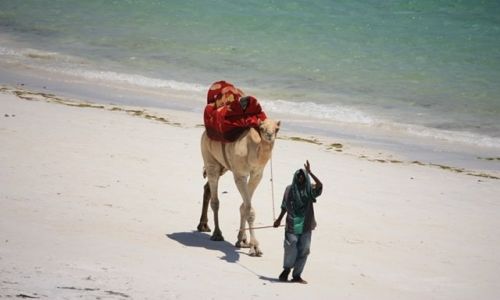 Zdjcie KENIA / Ocean Indyjski / Mombasa / moe przejadk ???