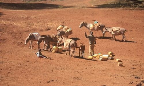 Zdjęcie KENIA / Park Narodowy Tsavo West / Tsavo West / afrykańskie pozdrowienia....