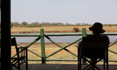 Zdjcie KENIA / Tsavo East / Voi Wildlife Safari Lodge / safari dla leniwych