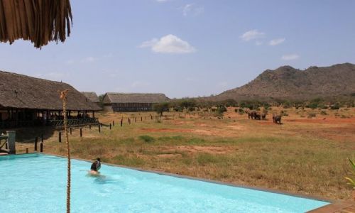 Zdjcie KENIA / Tsavo East / Voi Wildlife Safari Lodge / safari dla leniwych