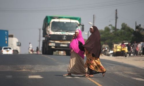Zdjecie KENIA / poudniowa Kenia / Mombasa / konwersacja n pasach...........