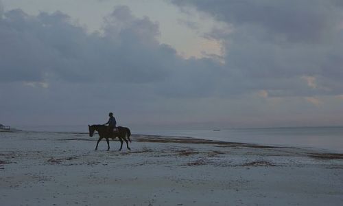 Zdjcie KENIA / Afryka / Kilifi / kenia