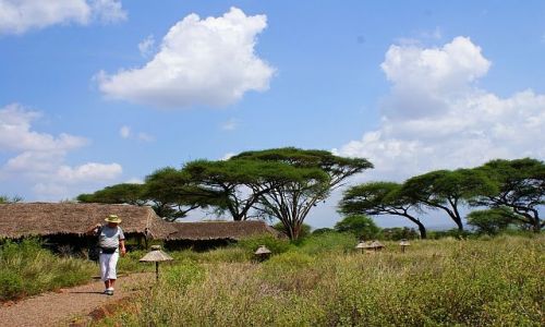 Zdjcie KENIA / Afryka / Kilifi / kenia