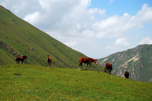 Zdjęcia: dolina Araszan, samopas, KIRGIZJA Zdjęcia: dolina Araszan, samopas, KIRGIZJA