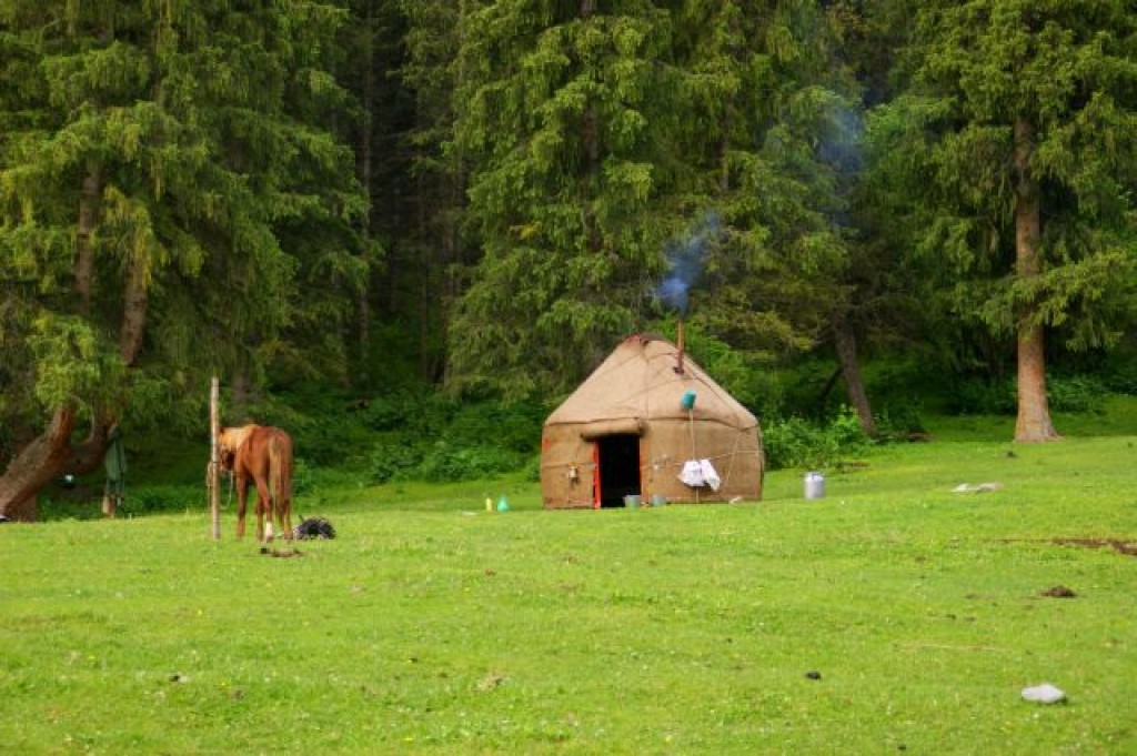Zdjęcia: Kirgizja, Kirgizja, Gospodarstwo, KIRGIZJA Zdjęcia: Kirgizja, Kirgizja, Gospodarstwo, KIRGIZJA