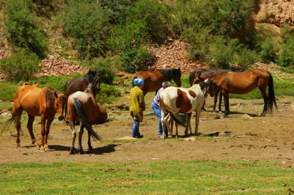 Zdjęcia: Dalan Pass, Dalan Pass, Dalan Pass, KIRGIZJA Zdjęcia: Dalan Pass, Dalan Pass, Dalan Pass, KIRGIZJA