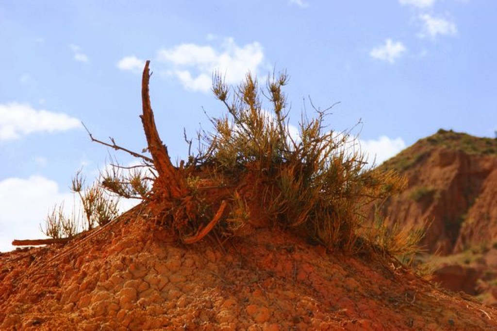 Zdjęcia: Kaji Say, Kaji Say, Kaji Say, KIRGIZJA Zdjęcia: Kaji Say, Kaji Say, Kaji Say, KIRGIZJA