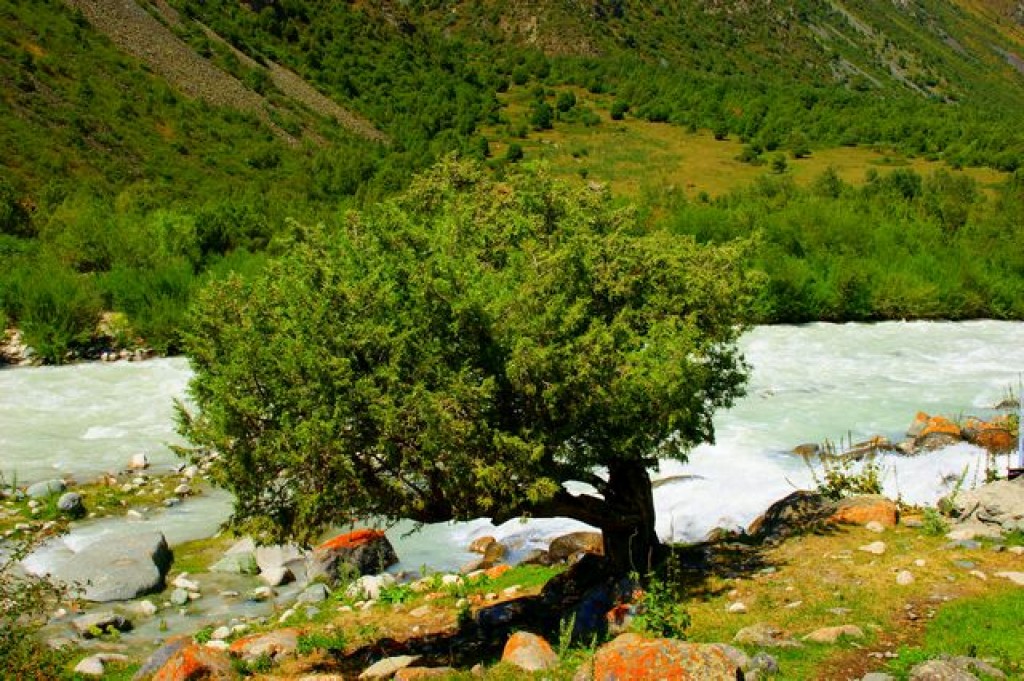 Zdjęcia: Jet Oguz, Jet Oguz, Samotne, KIRGIZJA Zdjęcia: Jet Oguz, Jet Oguz, Samotne, KIRGIZJA