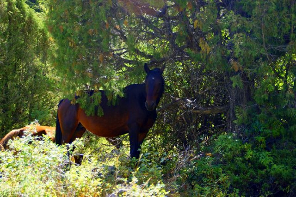 Zdjęcia: Jeti Aguz, Jeti Aguz, Jeti Aguz, KIRGIZJA Zdjęcia: Jeti Aguz, Jeti Aguz, Jeti Aguz, KIRGIZJA