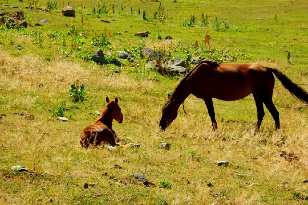 Zdjęcia: Jeti Aguz, Jeti Aguz, Jeti Aguz, KIRGIZJA Zdjęcia: Jeti Aguz, Jeti Aguz, Jeti Aguz, KIRGIZJA