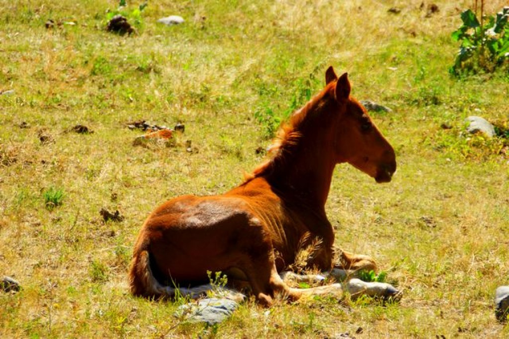 Zdjęcia: Jeti Aguz, Jeti Aguz, Jeti Aguz, KIRGIZJA Zdjęcia: Jeti Aguz, Jeti Aguz, Jeti Aguz, KIRGIZJA