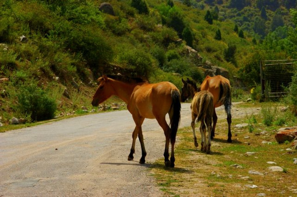 Zdjęcia: Jeti Aguz, Jeti Aguz, Jeti Aguz, KIRGIZJA Zdjęcia: Jeti Aguz, Jeti Aguz, Jeti Aguz, KIRGIZJA