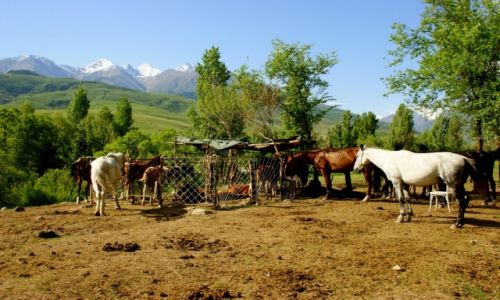 Zdjecie KIRGIZJA /  Ala Archa /  Ala Archa /  Ala Archa