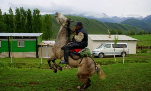 Zdjęcie KIRGIZJA / Tokmok / Tokmok / Dzigit