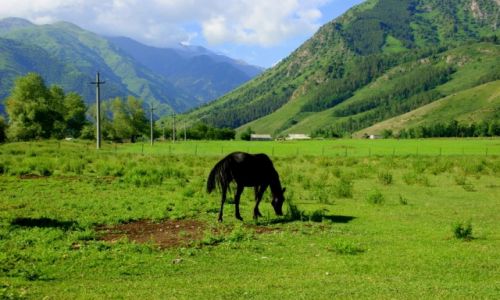 Zdjęcie KIRGIZJA / Tokmok / Tokmok / Tokmok