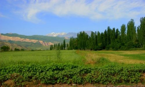 Zdjcie KIRGIZJA / Tutmok / Tutmok / Tutmok