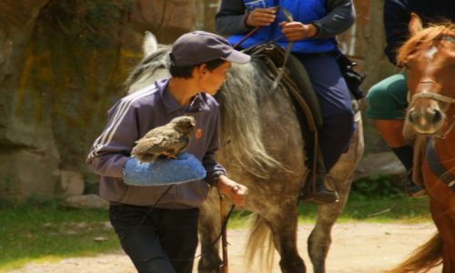 Zdjęcie KIRGIZJA / Sobolewka / Sobolewka / Ptaszek