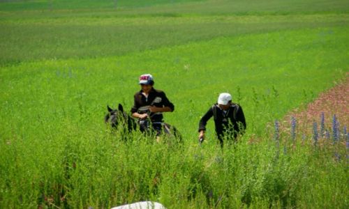 Zdj�cie KIRGIZJA / Grigoriewka / Grigoriewka / Orka