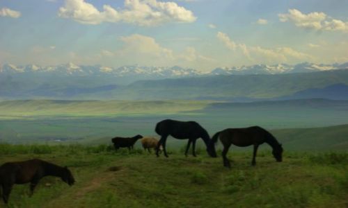 Zdjęcie KIRGIZJA / -Kirgistan / Kirgistan / Kirgistan