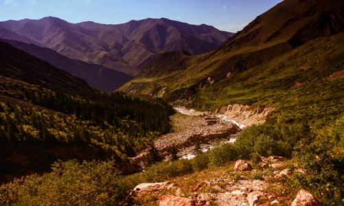 Zdj�cie KIRGIZJA / obw�d czujski / ok. Biszkeku / Rezerwat Ala Archa