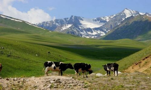Zdjecie KIRGIZJA / Ala -Bel   pass / Ala -Bel   pass / Ala -Bel   pass
