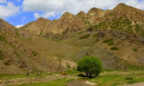 Zdjęcie KIRGIZJA / Okolice Narynia / Okolice Narynia / Samotne