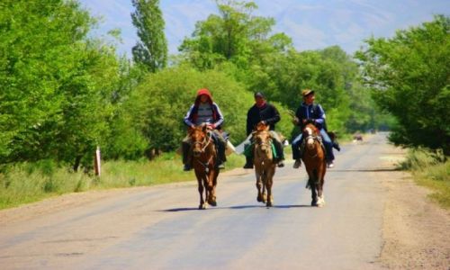 Zdj�cie KIRGIZJA / Okolice  Dalon pass / Okolice  Dalon pass / Jadymy